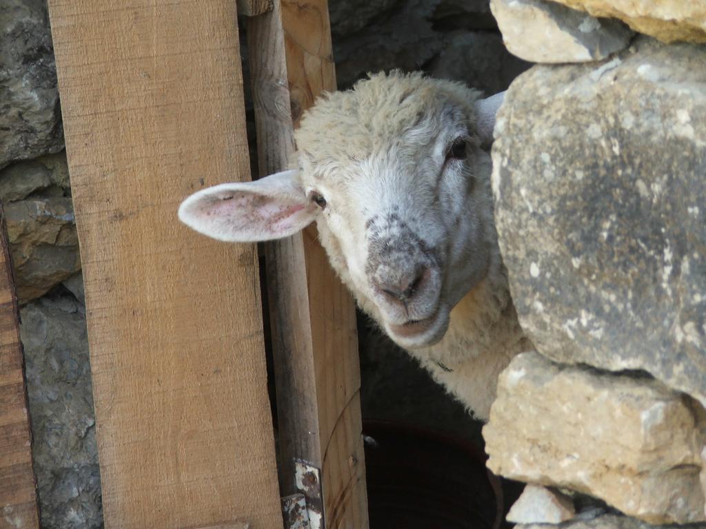 Aldeia Da Mata Pequena Otel Mafra Dış mekan fotoğraf