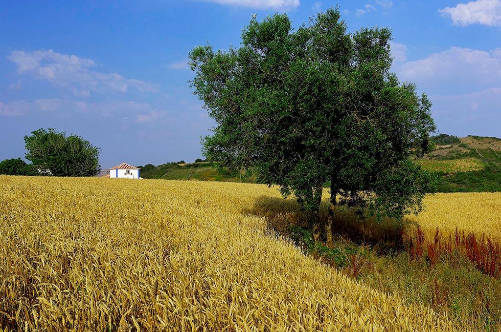 Aldeia Da Mata Pequena Otel Mafra Dış mekan fotoğraf