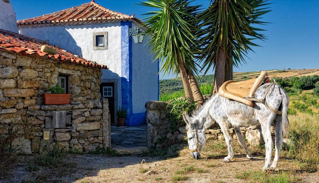 Aldeia Da Mata Pequena Otel Mafra Oda fotoğraf